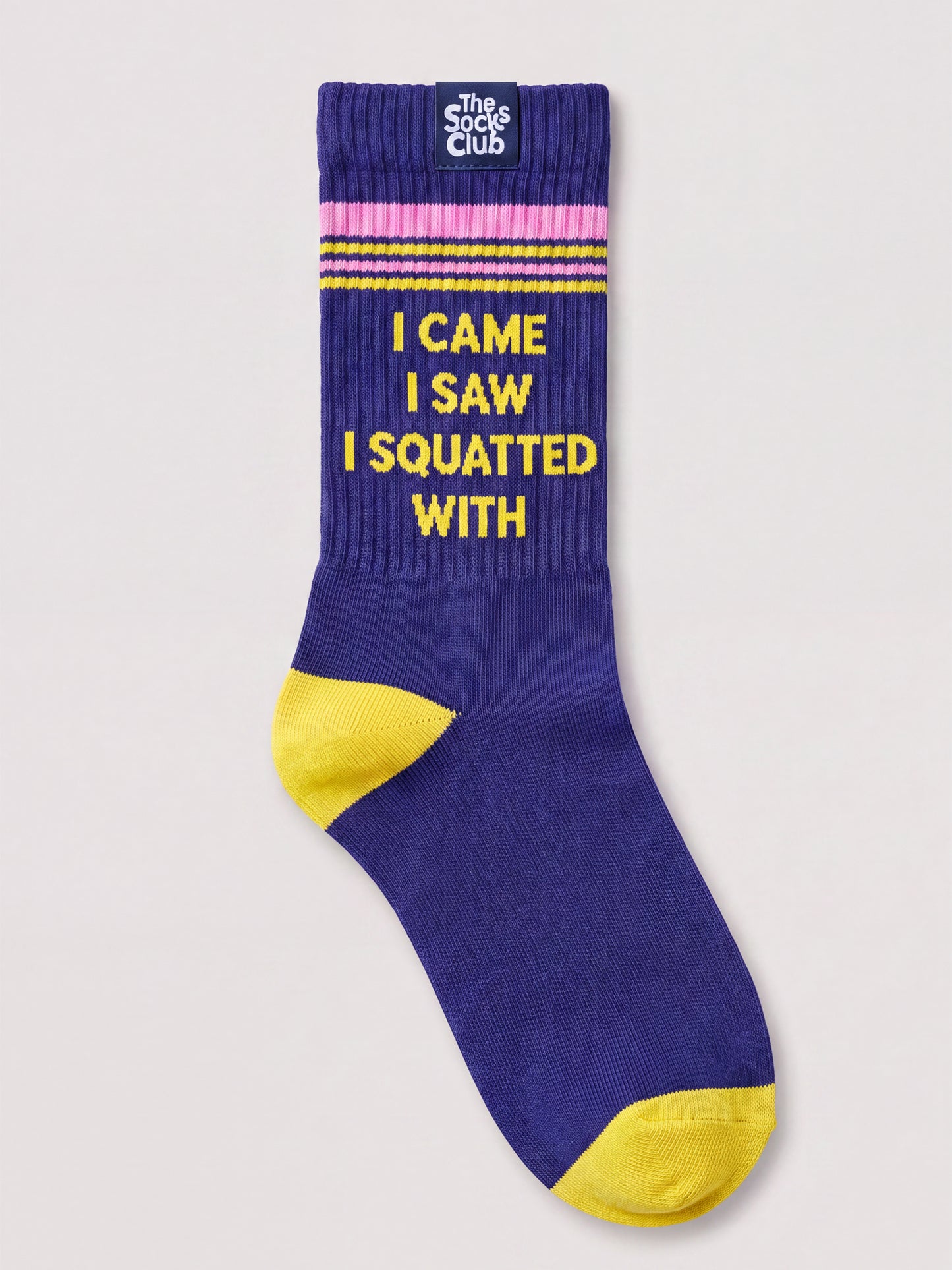 I Came I Saw I Squatted With - Regular Royal Blue Socks